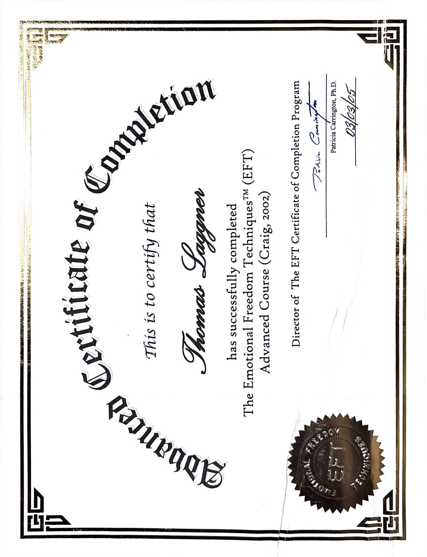 EMDR Practitioner 2013