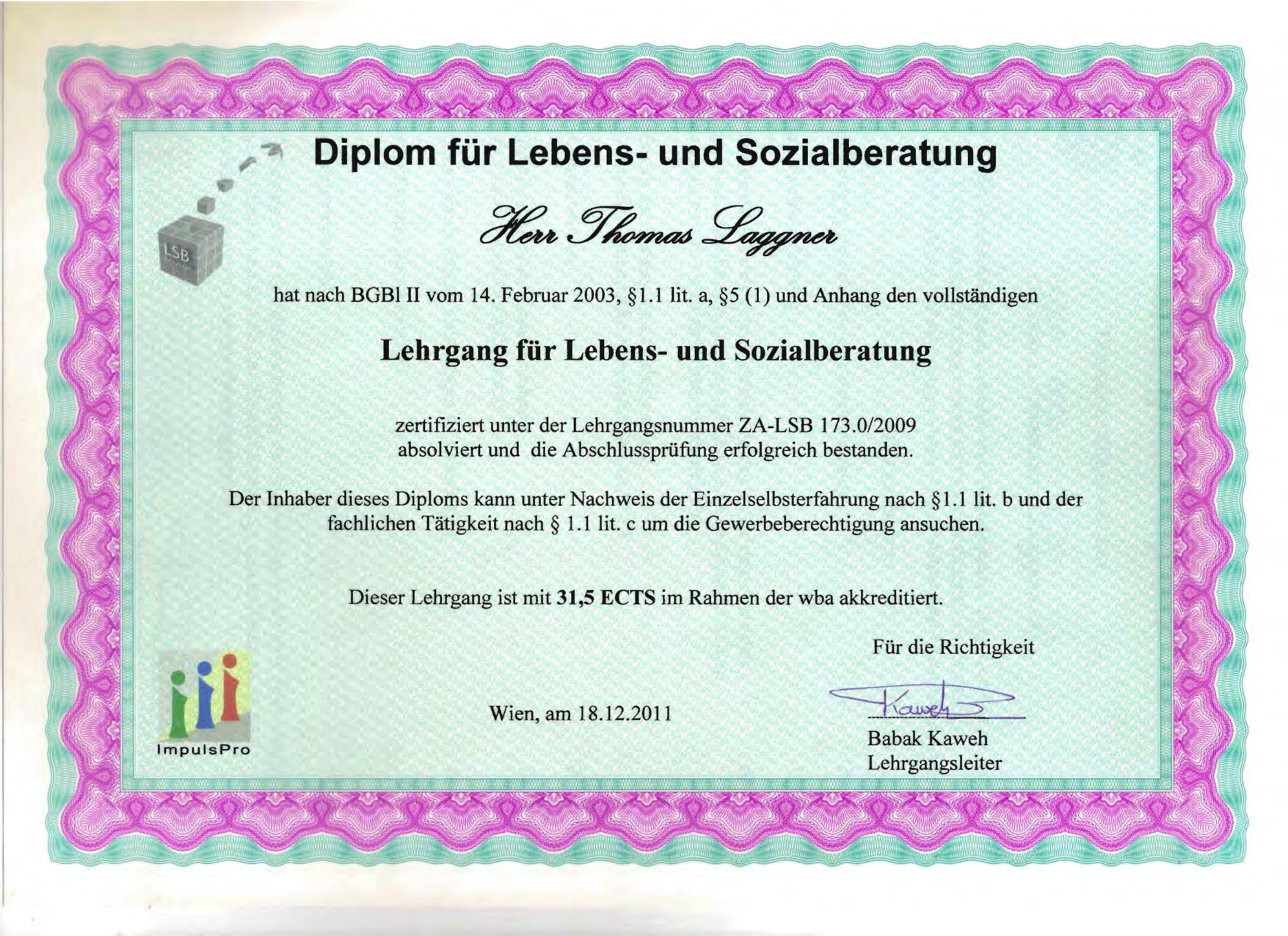 Systemische Strukturaufstellungen 2009